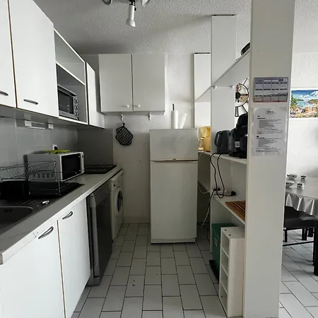 Sur - 6 Pers Avec Terrasse Et Parking - Fr-1-309-375 Appartement *
